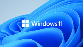 Windows 11 Professional OEM 32/64 bits | Fast Delivery